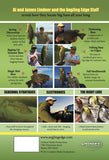 Finding Bass Seasonally - BACK