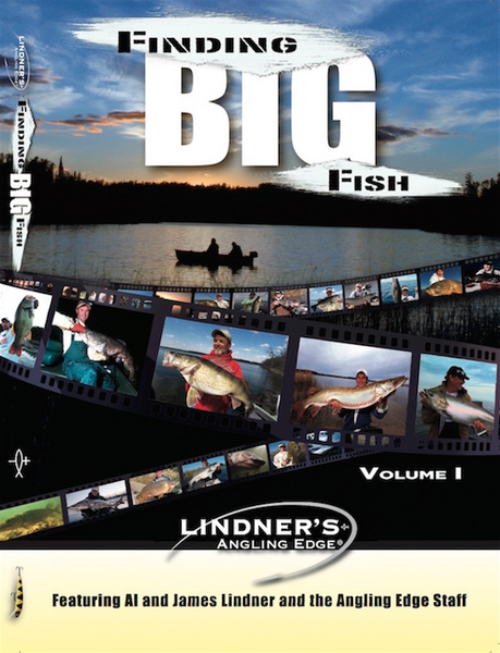 Finding Big Fish (front)