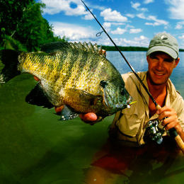 Panfish DVDs