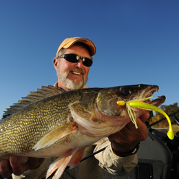 Walleye DVDs